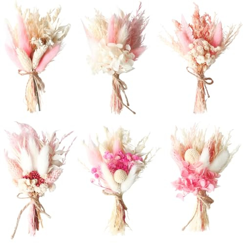 Fleurs Séchées,6 Pièces Fleur Sechees Decoration,Bouquet de Fleurs Séchées,Fleurs Sechees Naturelles,Fleurs Sechees Naturelles Fleur Séchée,pour Scrapbooking & Fleur sechees Decoration