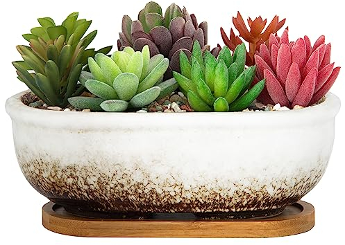 ARTKETTY Vaso per piante grasse, 20 cm, rettangolare, per piante da interno, bonsai in ceramica, con vassoio di drenaggio, piccolo vaso per fiori, casa, giardino, finestra