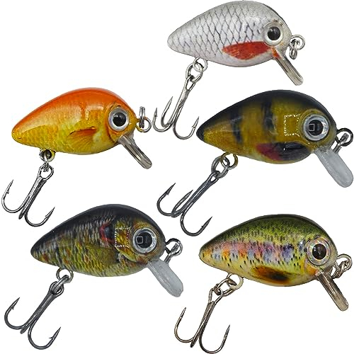 Paradox Fishing Mini Wobbler Set 5 Wobbler (2,5cm 1,5g schwimmend Lauftiefe: 0,6m-1 m) zum Forellen Angeln oder als Barsch Köder - Wobbler Forelle Barsch Wobbler