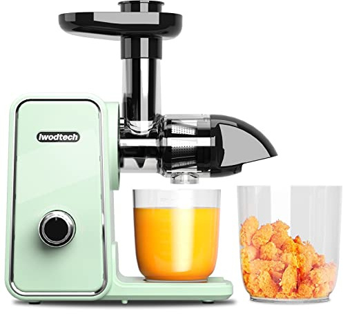 IWODTECH Juicer Machine, Cold Press Juicer with 2 Speed Modes, Slow Masticating Juicer Vegetable and Fruit, Celery Juicer, BPA-Free, Easy to Clean, Matcha Green