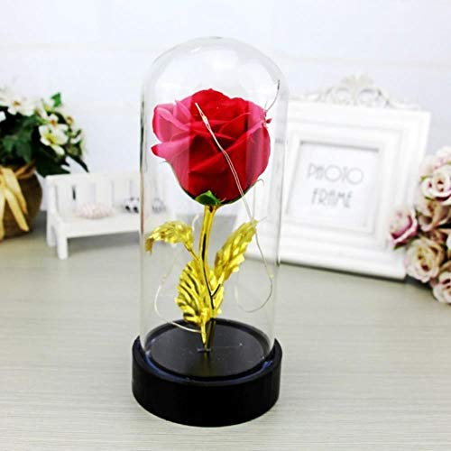 aifengxiandonglingbaihuo Beauty and the Beast Red Rose in a Glass Dome with LED Light and Base for Valentine's, E1,China