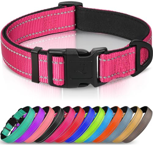 Joytale Collar Perro Reflectante,Nylon Collar Acolchado con Neopreno,Ajustable para Perros Pequeño,30-40cm,Rosa Caliente
