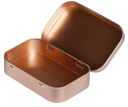 Zkydhbd 2 cajas de almacenamiento de hierro de estilo retro con tapa abierta abatible para el hogar, cajas organizadoras decorativas para el hogar, caja de almacenamiento de hojalata a prueba de óxido