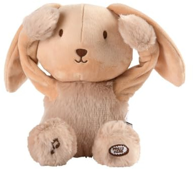 Pioupiou et Merveilles - Les Doux Bidous - Peluche Enfant Coucou et Comptine Valentin Le Lapin - A partir de 10 Mois - Piles incluses - 16309