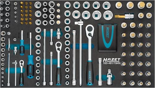 Hazet Steckschlüssel-Satz 163-481/194N, 1/4 Zoll (6,3 mm) Vierkant | 1/4 Zoll (6,3 mm) Vierkant hohl, 1/2 Zoll (12,5 mm) Vierkant hohl, 1/4 Zoll (6,3 mm) Sechskant massiv, Länge 691 mm, 11400 g