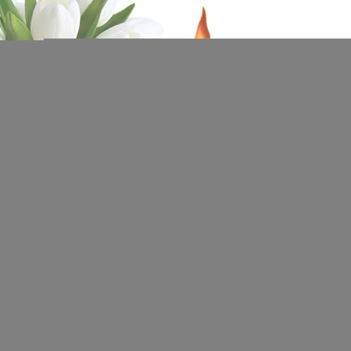 Torch Boat - Citronella Replacement With Wicks And Covers | Outdoor Patio Torch Covers Metal Torch For Lawn Patio Backyard Deceding Garden Decor | T