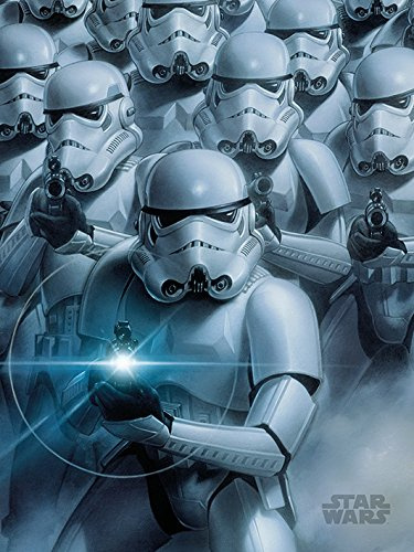 Star Wars Leinwanddruck, Holz, Mehrfarbig, 30 x 40 cm