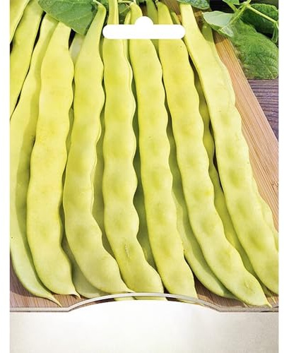 WegAna Bohnen Buschbohnen Goldmarie Samen 20g, Robuste Gemüsesamen, Gemüse Samen, Samen Anzucht, Saatgut für Gewächshaus