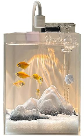 Aquarium Kit, Rimless Small Glass Fish Tank with Filter, Aquarium Light, and Aquascaping Decorations, for Home and Office(White,25x16x18cm/9.8x6.2x7.0in)