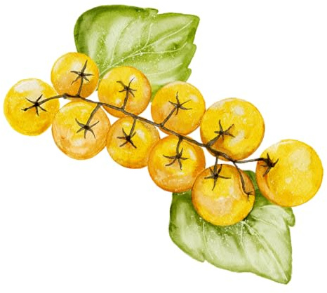 Ildi Tomatensamen – gelbe Trauben- & Cocktailtomate mit riesigen Fruchtständen | extrem ertragreiche alte Sorte | samenfest, süß & frühreifend | naturbelassen & handverpackt aus Portugal – 25 Samen