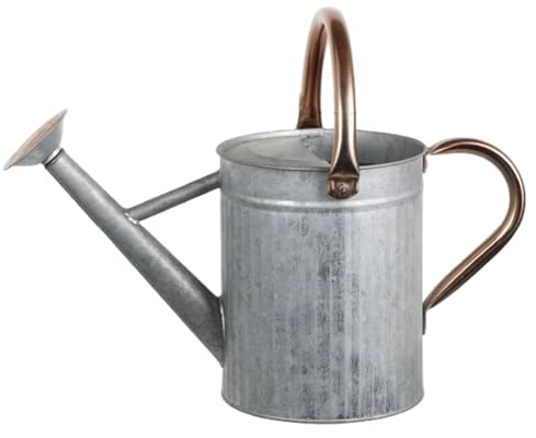 Regadera de Acero Inoxidable, regadera de Metal de 1, 3 galones/5 l con Boquilla extraíble y 2 Asas para Plantas de Exterior e Interior, Plateada,