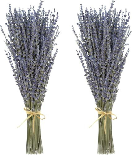 2 Stück Trockenblumen,Getrockneter Lavendel ca.40cm - Lavendelblüten aus der Provence Lavendelstrauß Lavendelbund Trockenblumen Boho Deko