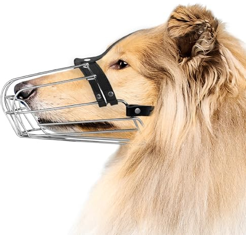 BRONZEDOG Drahtkorb Hund Maulkorb Metall Hund Maulkorb Leder verstellbar (Size 8: Greyhound & Collie)