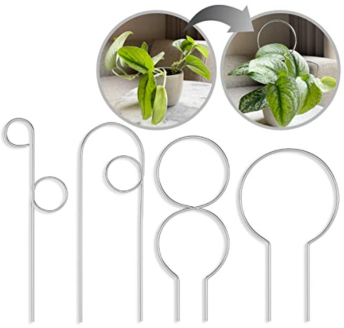 LOOPSEED Small Metal Trellis for Indoor Plants Metal Plant Stake for Climbing House Plants Plant Support for Potted Plants Orchids, Monstera, Pothos, Ivy, Hoya, Philodendron Set of 4 (Simply Silver)