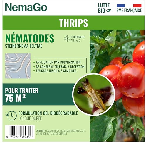 Nematodes contre les Thrips – Produit naturel et 100% efficace pour éliminer les thrips des plantes intérieures et extérieures – Longue durée et Sans danger (Pour traiter jusqu'à 75 m²)