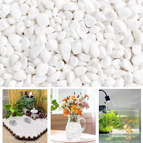 1000g White Stones for Plant Pots, 1-2 cm Decorative Stones for Plant Pots, White Pebbles for Plant Pots for Garden Vase Landscaping and Outdoor Decorative Stones Fish Tank Gravel