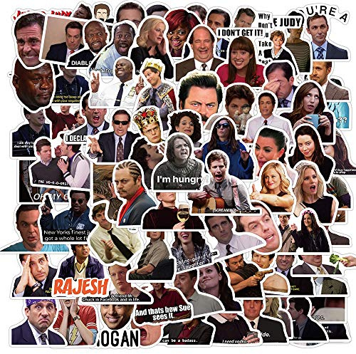 100 PCS TV Series Social Meme Water Bottle Funny Movie Meme Laptop Scrapbook Journal Phone Luggage Computer Stickers,Vinyl Waterproof Trendy Hot DIY Stickers for Kids Children Adults