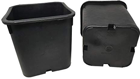 GREEN24 5 Stück XXL Pflanztöpfe 25 x 25 x 26 cm - 11 Liter Volumen - Vierecktopf Profi Anzuchttopf Pflanztopf Blumentopf Vierkant-Töpfe (5 Stück)