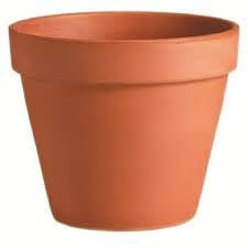 Le Terrecotte di Cassiano Fabio Vaso in Terracotta cm 43x h 36