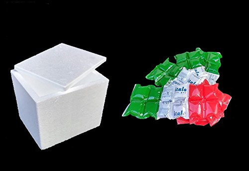 Contenitore di polistirolo per spedizioni freschi/surgelati BOX4 dim. interne 46x35x21+ 1,7 kg. di ghiaccio sintetico.