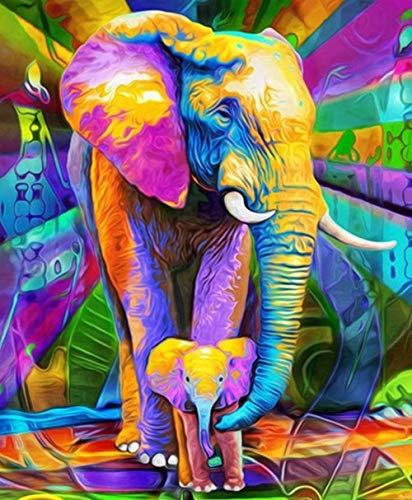 XCSQTYMY Malen Nach Zahlen Erwachsene Bunter Elefant DIY Ölgemälde Faltenfreie Leinwand Hochwertige Acrylfarbe Kunst und Handwerk Wanddekoration