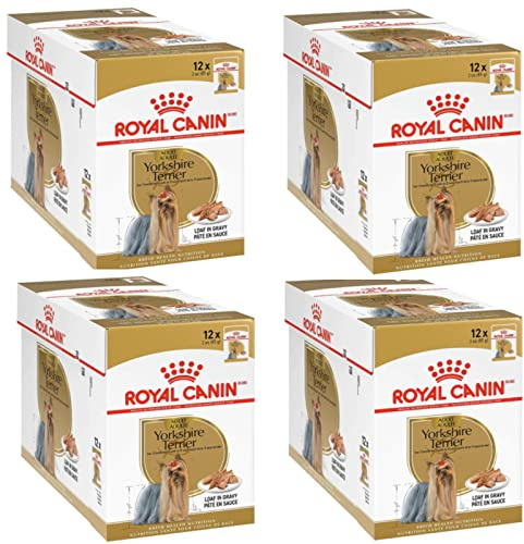 Royal Canin Yorkshire Terrier Adult | Paquete de 4 | 4 x 12 x 85 g | Comida húmeda para Perros Adultos | A Partir de 10 Meses de Edad | para Mantener la Calidad del Pelo y Las heces