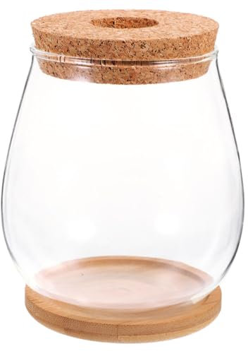 SEWOART Elegant Hydroponic Vase Glass Terrariums for Plants Plant Jars Micro Landscape Bottle Home Decor