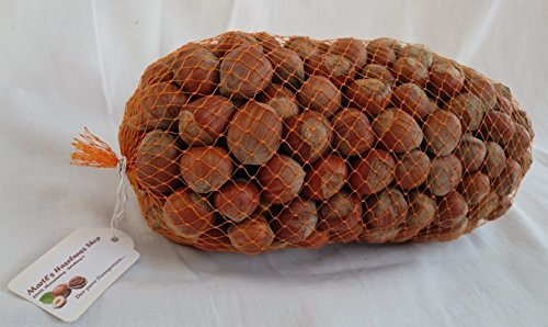 Haselnüsse Premium XL - Aus Deutschland! - Nüsse in der Schale - 1Kg