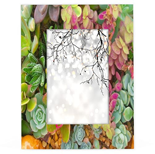 Bilderrahmen f¨¹r Sukkulenten, 25,4 x 20,3 cm, f¨¹r Sukkulenten, tropischer Kaktus, f¨¹r Tisch- und Wandmontage
