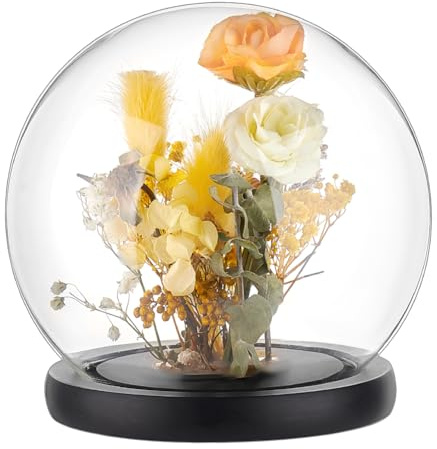 PandaHall 15cm Glass Display Dome Cloche with Black Wood Base - Decorative Jars, Cloche Display Case, Dome for Flower Storage, Home, Christmas Party Favor Decoration