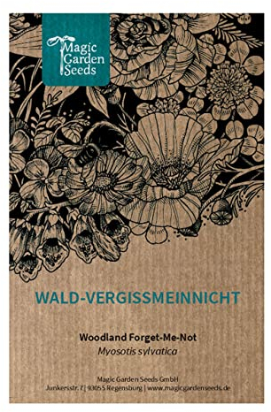 Himmelblaues Wald-Vergissmeinnicht (Myosotis sylvatica) 600 Samen