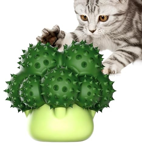 Katzenminze-Spielzeug – Interaktive Kau Kratzspiele | Kauspielzeug Katzenminze | Beschäftigung Nach Essen Gegen Langeweile Mentale Stimulation Wohnung Wohnzimmer Zuhause Indoor Katzenspielzeug