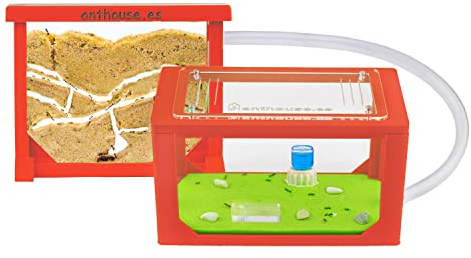 AntHouse - Ameisenfarm aus Sand | 3D Mini Set (Sandwich + Futterbox) | Rot Ant Farm | Inklusive Ameisenkolonie