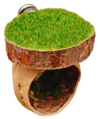 Springende Spinnen aus Holz, natürliche Höhle mit Sockel für kleine Reptilien und Haustierruhe-Terrarien, Dekoration, Haustierspinnen, Versteck