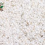 Horticultural Perlite for Plants – 2.5 Liters | Lightweight Soil Amendment for Drainage, Aeration & Root Growth | Ideal for Indoor Plants, Pots, Seed Starting, Succulents & Hydroponics