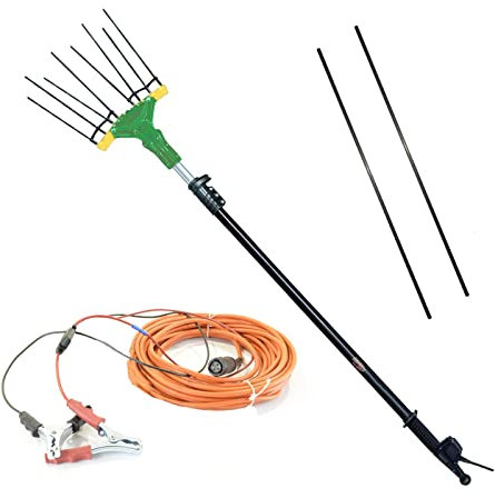 La zappa Abbacchiatore Elettrico a Batteria Falcon AL300 12 Volt con Asta telescopica per Raccolta Olive