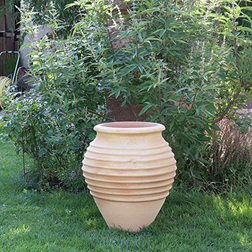 Exklusiv terrakotta amfora Ficus 60 cm – 100 % handgjord unik för trädgård och hem – en tidlös skönhet från Grekland