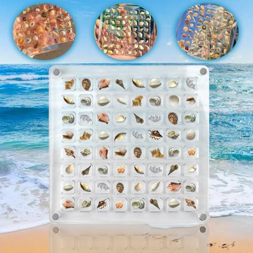 Acrylic Magnetic Seashell Display Box Seashell Storage Box 64 Grids Transparent Acrylic Seashell Storage Box Seashell Diamond Gemstone Beads Storage Display Organizer Box (64 Grids)