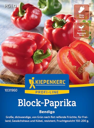 Kiepenkerl Block-Paprikasamen Bendigo 1031960, Gemüsesaat | Große und dickwandige Früchte, Wuchshöhe 80-100 cm, aromatisch, für Hochbeet, Freiland & Gewächshaus