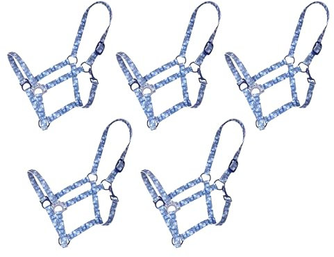 Brama West Halfter Set Pferd Magic Horses Pferdehalfter 5 Stück (Full)