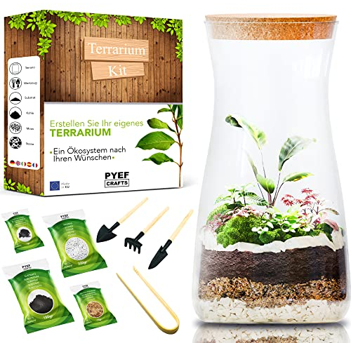 Kit Terrarium Plante DIY avec Verre - Kit Prêt-à-Pousser pour la Création de Jardin en Bouteille - Prêt-Pousser Terrarium - Set pour Faire Pousser (sans la Plante)
