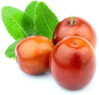 Semi di giuggiola,Coltivazione di semi,da frutto colonnari Aiuole rialzate per il giardino 80pcs