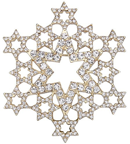 EVER FAITH österreichischen Kristall Elegante aushöhlen Stern Cluster Schneeflocke Blume Brosche Pin Klar