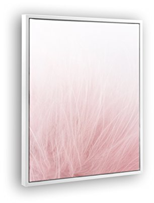Bildershop-24 Schattenfugenrahmen Set Lemgo Weiß (Hochglanz) mit Keilrahmen Leinwand Bild Druck Motiv: Feder Rosa 2 40x50cm