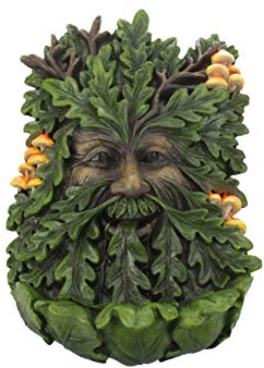 Nemesis Now D4267M8 Elderwood Wall Plaque 19cm Green, Polyresin, 23.8cm