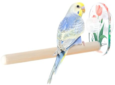 Jouets de Balançoire pour Oiseaux,Perchoirs en Bois a Ventouse pour Perruches,Calopsittes,Conures,Perruches Ondulées,Inséparables et Autres Oiseaux