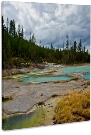 3dRose Porcelain Basin, Norris Geyser Basin, Yellowstone National Park Museum Grade Canvas Wrap 8x10
