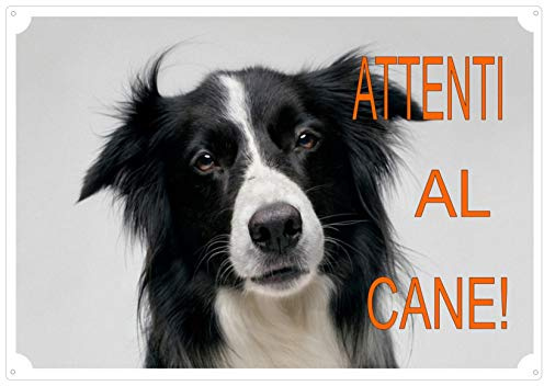 Cartello, Targa ATTENTI AL CANE da Cancello BORDER COLLIE cm 30 x 21,5