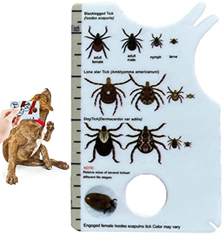 Yonuaret Zeckenkarte Zeckenkarte Mensch, Zeckenkarte Für Menschen, Zeckenkarte Für Menschen, Mit Lupe, Zeckenentferner Für Hunde Und Katzen Im Handlichen Taschenformat, 8,5 X 5,4 X 0,1 cm