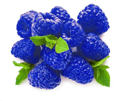 semi di lampone biologici - esotiche resistenti vecchie varietà perenni 20pcs